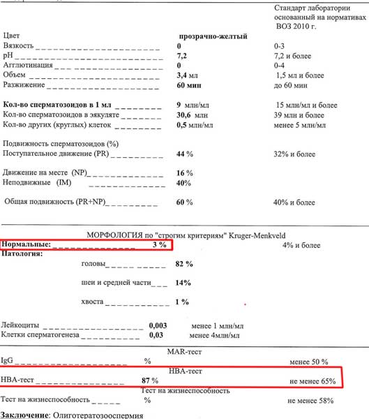 Показатели спермограммы, их нормы и комментарий отклонений | ЭКО центр
