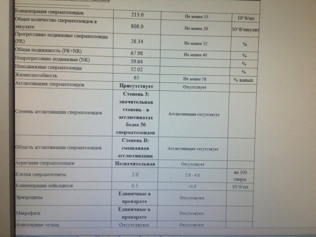 ЭКО-система: что нужно знать об оплодотворении в пробирке