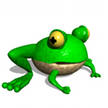 frog.jpeg