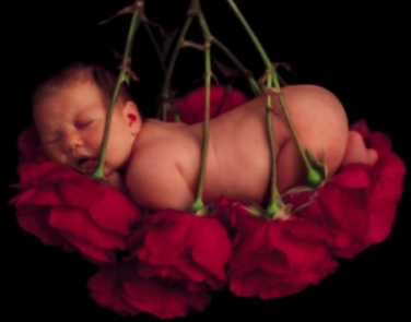 baby in flower.jpg