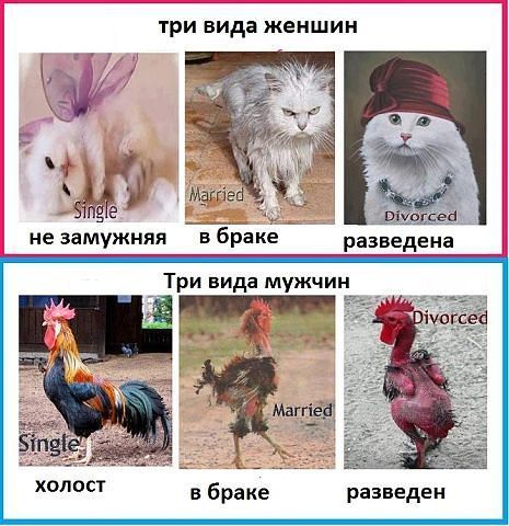 татусы про брак.jpg