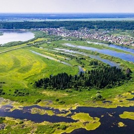 В Томской области в 2022 году сделано более тысячи ЭКО по ОМС
