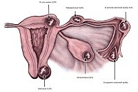 Возможна ли внематочная беременность при приеме противозачаточных таблеток thumbnail