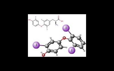 Т3 свободный, трийодтиронин свободный (Free Triiodthyronine, FT3)