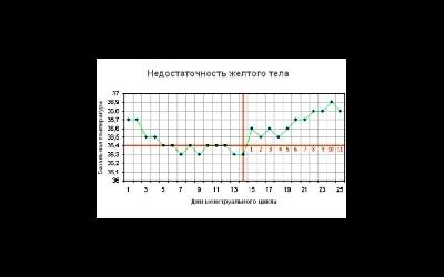 Что представляет собой лютеиновая фаза у женщин