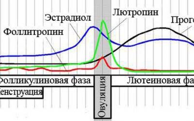 Лютеинизирующий гормон: роль в планировании беременности