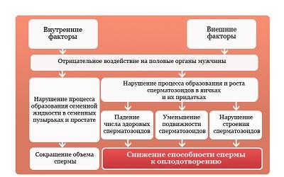 Почему выделяется мало семенной жидкости у мужчин