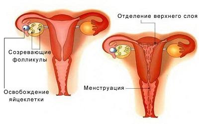 в чем плюсы месячных. Смотреть фото в чем плюсы месячных. Смотреть картинку в чем плюсы месячных. Картинка про в чем плюсы месячных. Фото в чем плюсы месячных